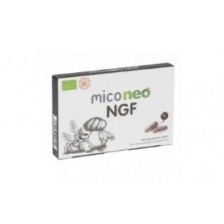 Comprar mico neo ngf 60cap.