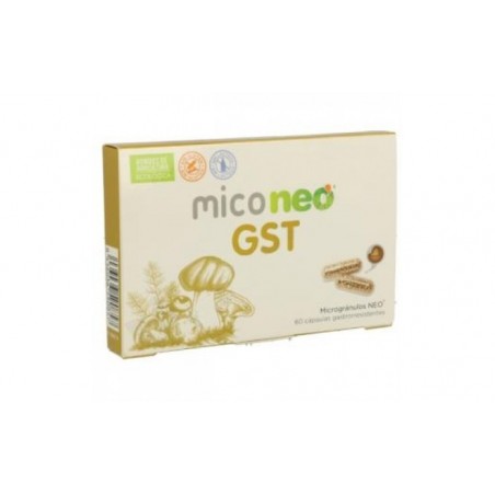 Comprar mico neo gst 60cap.