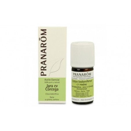 Comprar jara corcega aceite esencial bio 5ml.