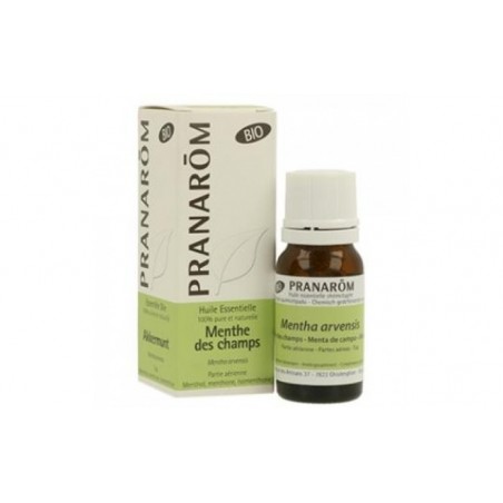 Comprar menta de campo aceite esencial bio 10ml.