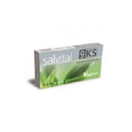 Comprar salvital nº9 ks kalium sulphuricum 40cap.