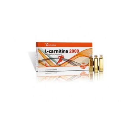 Comprar l-carnitina 20amp.