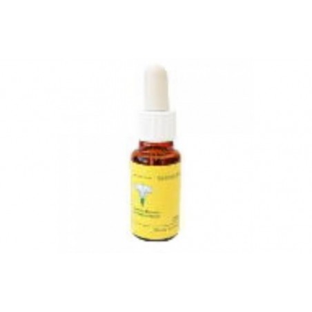 Comprar lotus e.f.mediterraneo 20 ml.