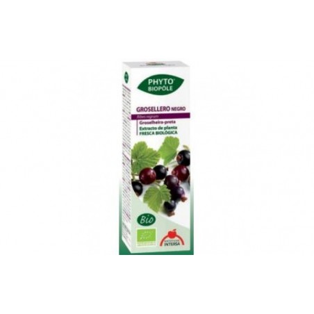 Comprar phyto-bipole bio grosellero negro 50ml.