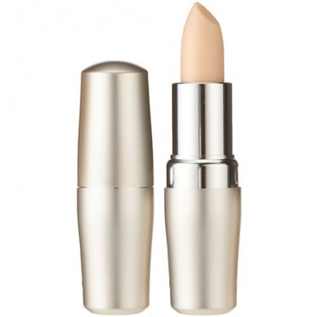 Comprar Shiseido Protector Labial SPF 10